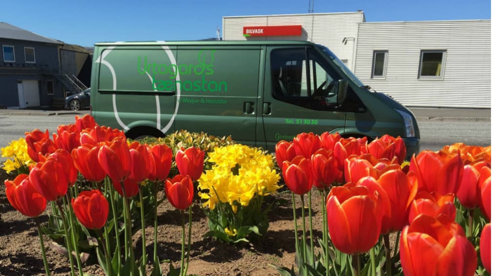 Urtagarðstænastan Fa. cover